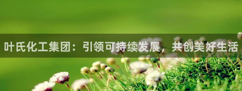 球盟会APP最新地址：叶氏化工集团：引领可持续发展，共创美好