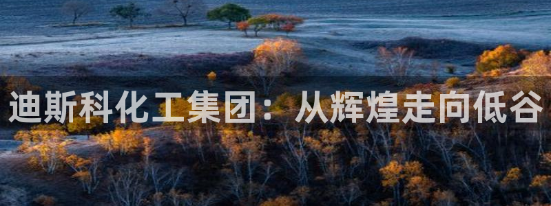 球盟会福利码2023最简单三个步骤：迪斯科化工集团：从辉煌走