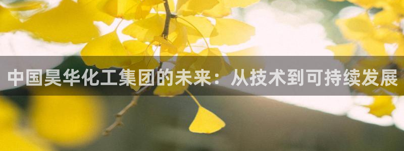 球盟会网址多少：中国昊华化工集团的未来：从技术到可持续发展