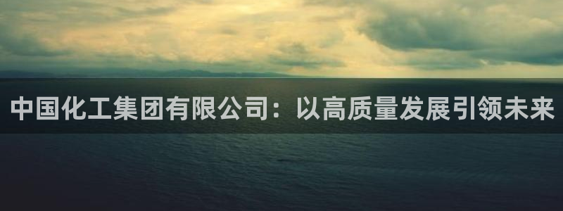 球盟会qmh登录地址：中国化工集团有限公司：以高质量发展引领