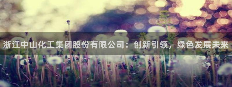 球盟会黑台子吗：浙江中山化工集团股份有限公司：创新引领，绿色