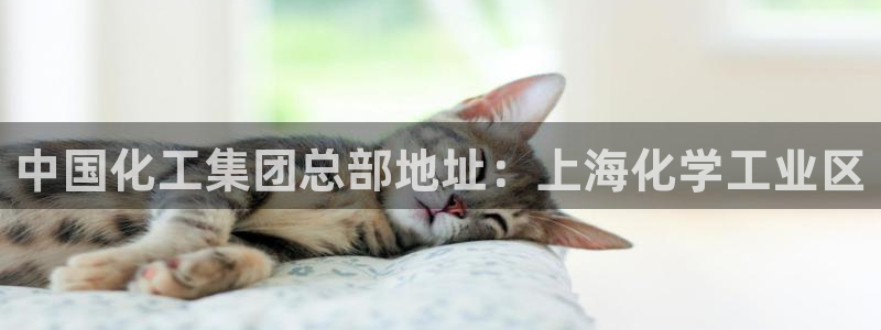 球盟会封号：中国化工集团总部地址：上海化学工业区
