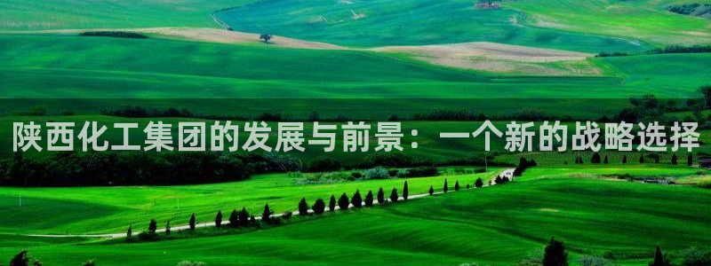 球盟会app手机登录：陕西化工集团的发展与前景：一个新的战略