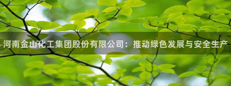 球盟会app安装：河南金山化工集团股份有限公司：推动绿色发展