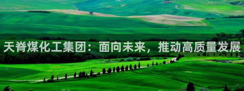 球盟会能提现吗是真的吗：天脊煤化工集团：面向未来，推动高质量