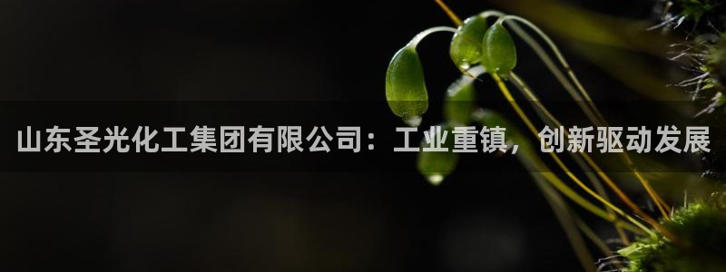 球盟会用的客服聊天是哪个软件：山东圣光化工集团有限公司：工业