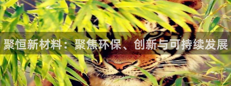 球盟会app最新地址在哪