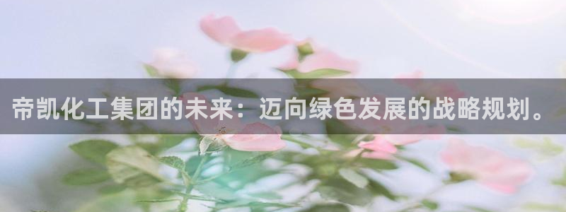 球盟会唯一：帝凯化工集团的未来：迈向绿色