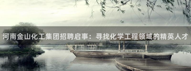 球盟会综合体育平台怎么样：河南金山化工集