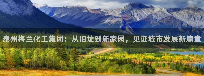 球盟会app最新地址下载安装：泰州梅兰化