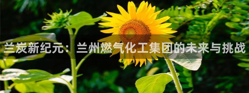 球盟会游戏：兰炭新纪元：兰州燃气化工集团