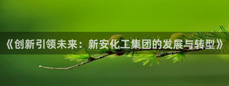 球盟会官方网页登录：《创新引领未来：新安