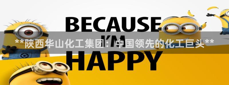 球盟会中国网页登录：**陕西华山化工集团