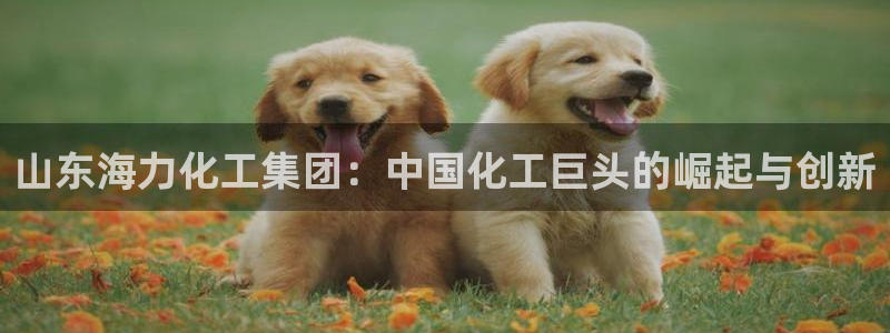 球盟会黑台子吗