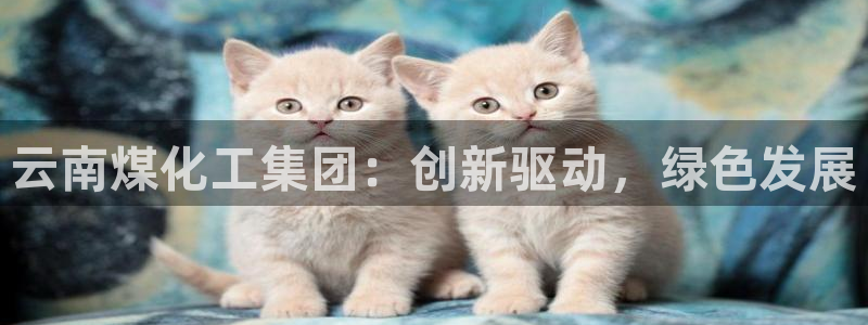 球盟会qmh：云南煤化工集团：创新驱动，