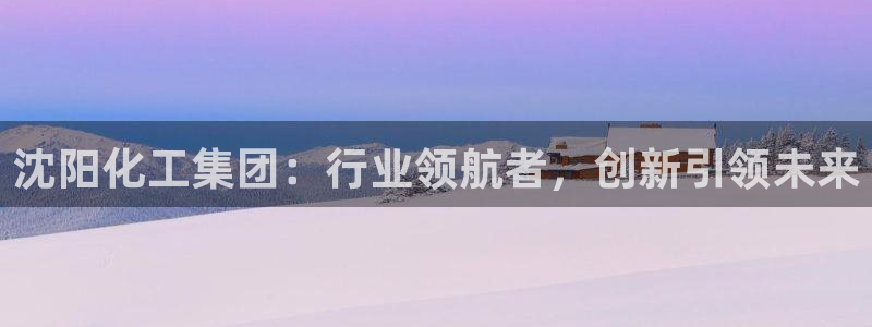 球盟会官方登录平台入口：沈阳化工集团：行