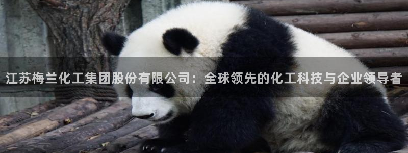 球盟会有限公司怎么样：江苏梅兰化工集团股