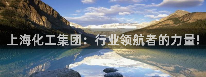 球盟会有没有黑单的球员：上海化工集团：行