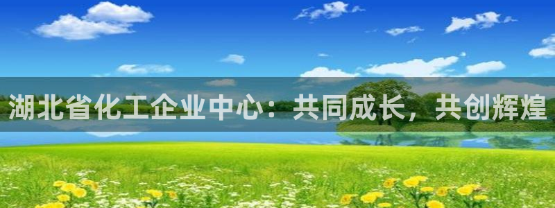 球盟会在线官网：湖北省化工企业中心：共同