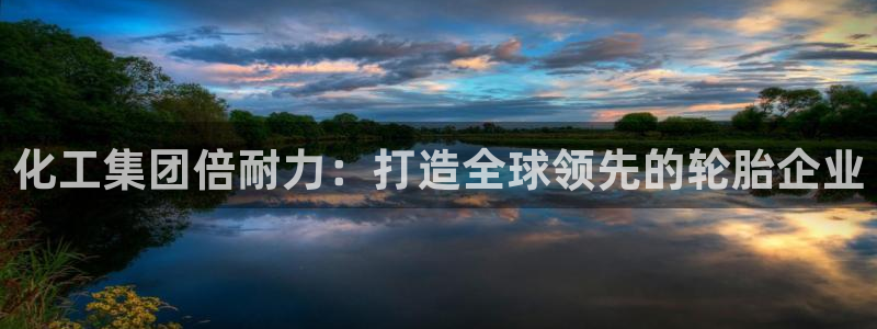 球盟会app最新地址在哪找：化工集团倍耐