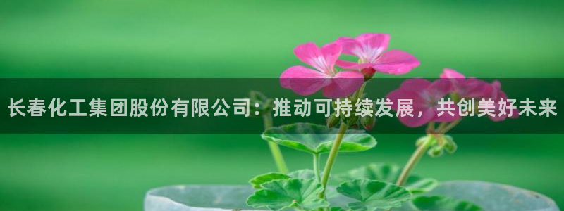 球盟会官方网站：长春化工集团股份有限公司