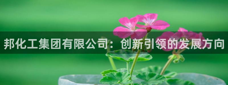 球盟会里面有打牌的嘛是真的吗：邦化工集团